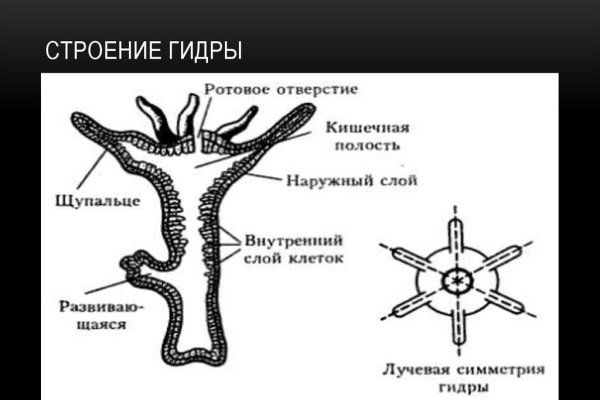 Кракен современный маркет