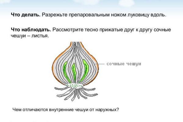 Забыл пароль от кракен