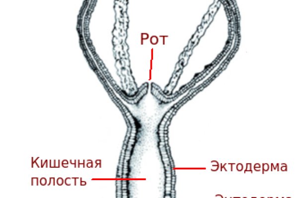 Кракен новый маркетплейс